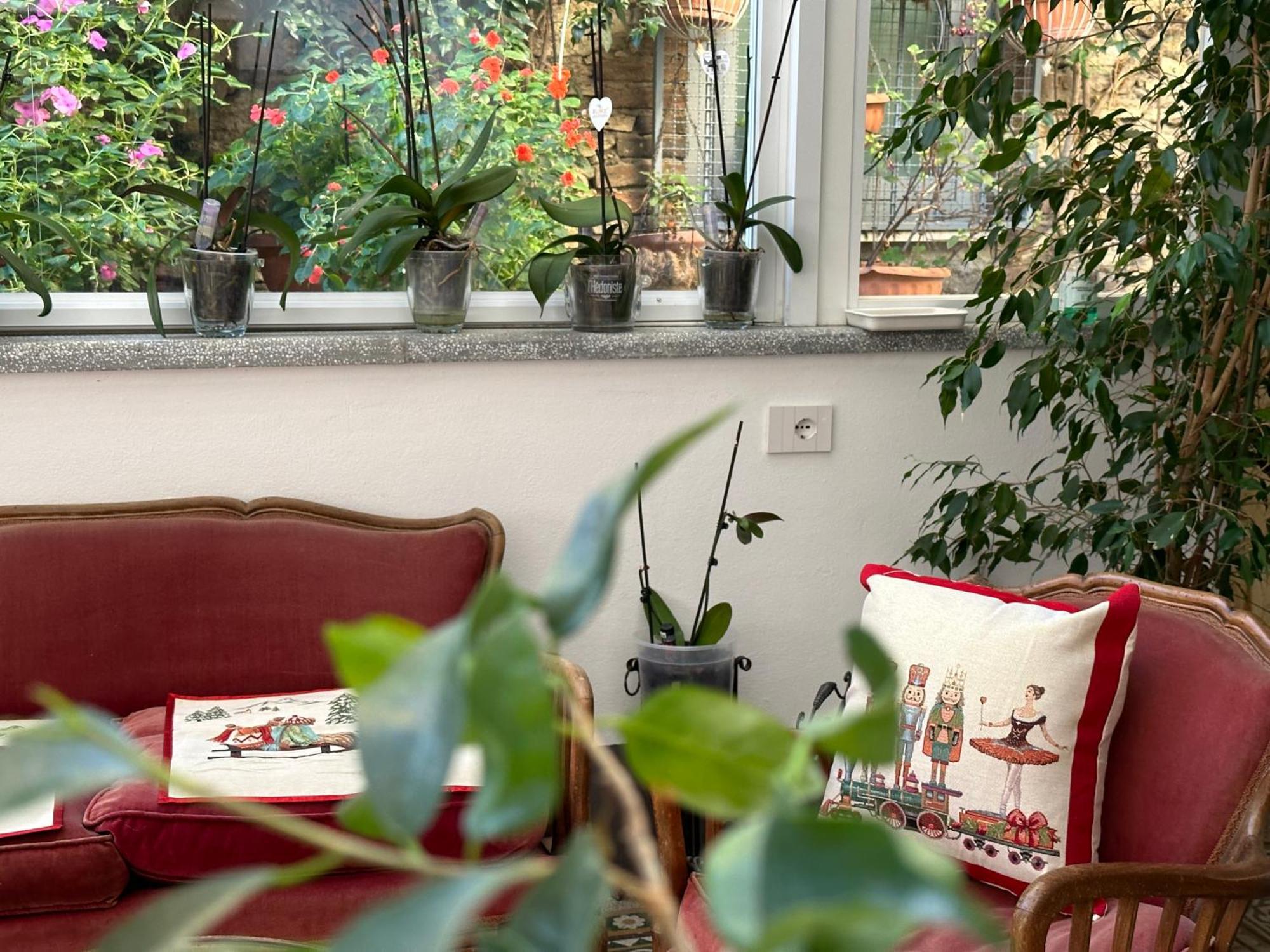 Domus Socolatae Residenza D'Epoca Charming B&B - Adults Only Follonica Εξωτερικό φωτογραφία